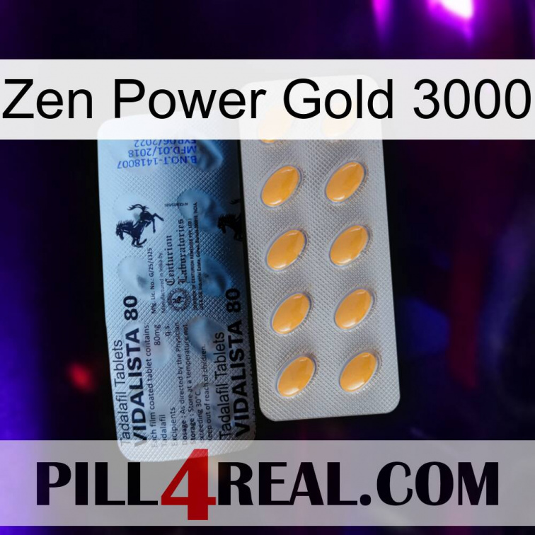 Zen Power Gold 3000 44